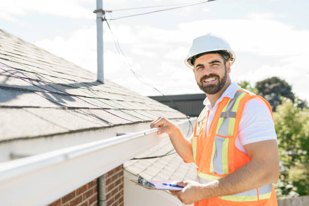 Best Roof Moss and Algae Removal  in Waynesville, MO